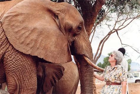 Meet Dame Daphne Sheldrick The Elephant Lady Eluxe Magazine