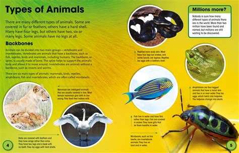 Fascinating Facts: Animals | Collins | 9780008169299