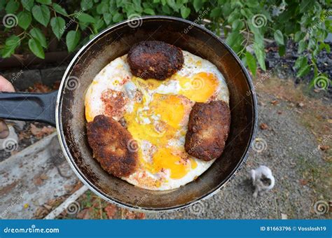 Frying Pan With Food Stock Photo Image Of Burgers Frying 81663796