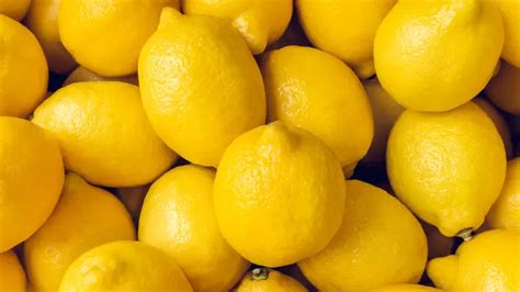 15 Interesting Fun Facts About Lemons