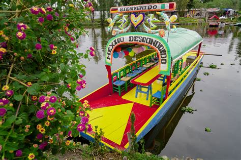 Enamórate De Xochimilco Con Un Tour Inolvidable Y Quesadillas