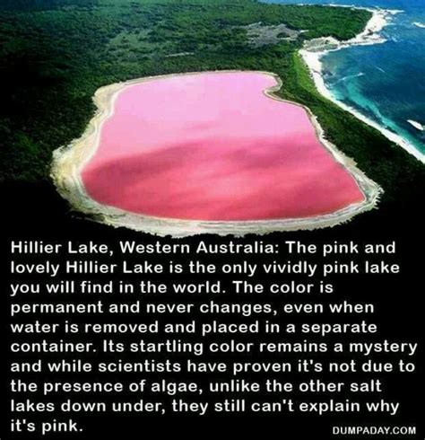 Pink Lake Pink Lake Australia Pink Lake Western Australia Travel