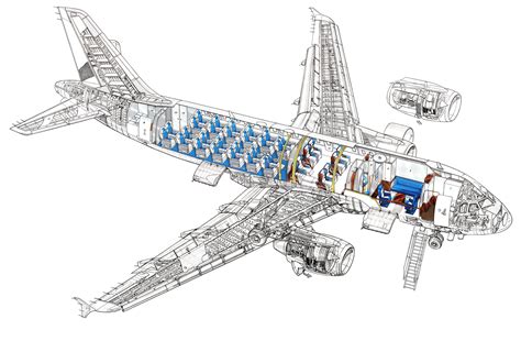 Airbus A Cutaway Drawing In High Quality