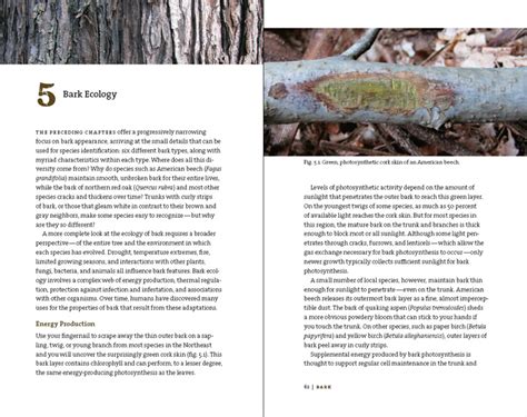 Bark A Field Guide To Trees Of The Northeast Know Your Trees