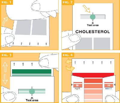Fasting for 12 hours is required. Total Cholesterol Blood Test Kit | Zoom Health