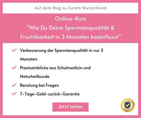 Der eisprung findet jeden monat in der regel in der mitte des zyklus statt. 60 Best Images Wann Ist Einnistung Nach Eisprung ...