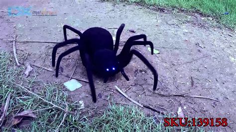 Keep spiders off your siding. Remote Controlled Simulation Black Widow Spider Toy - YouTube