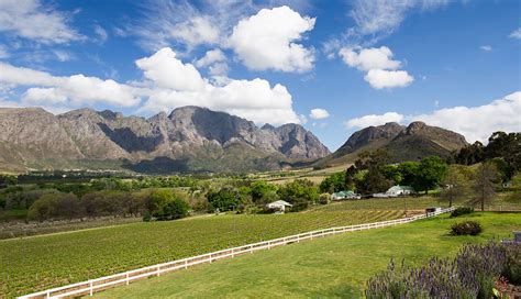 The History Of Franschhoek Cape Wineland Afrivcan Travel Canvas