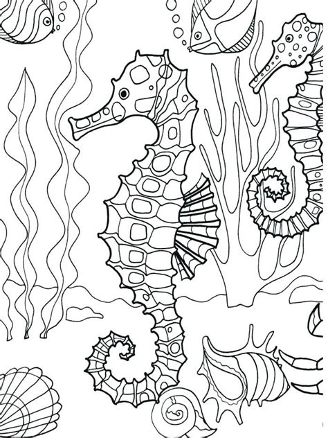 Coloring Page Ocean Underwater Pages Seahorse Adult Sea Creatures