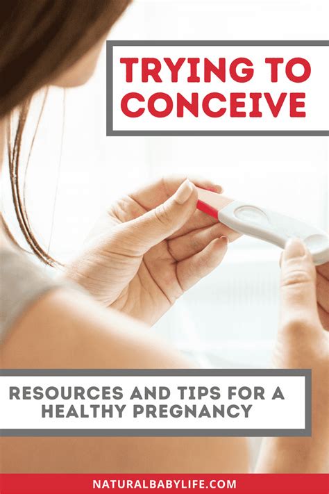 Trying To Conceive Resources And Tips For A Healthy Pregnancy
