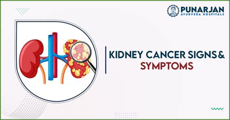 Signs And Symptoms Of Kidney Cancer Punarjan Ayurveda