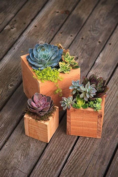 What Plants Go Well With Pothos Planter Wood Box Diy Succulent