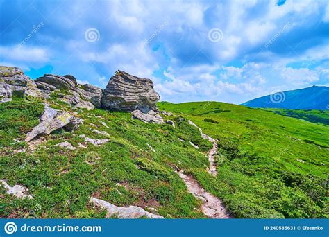 Explore The Mount Eared Stone Chornohora Range Carpathians Ukraine
