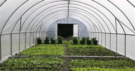Greenhouse Growing Organic Gardener Magazine Australia