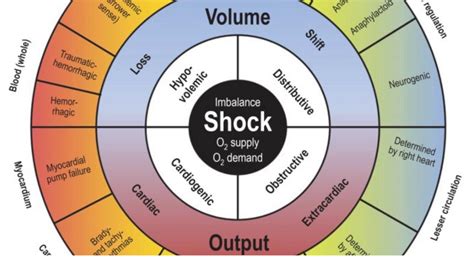 Different Types Of Shock Signs Symptoms Treatment And Causes