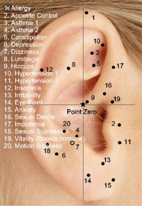 Acupressure Treatment Ear Reflexology Acupressure Therapy