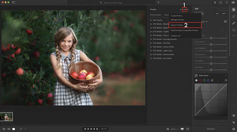 How To Install Lightroom Presets And Add Presets To Lightroom