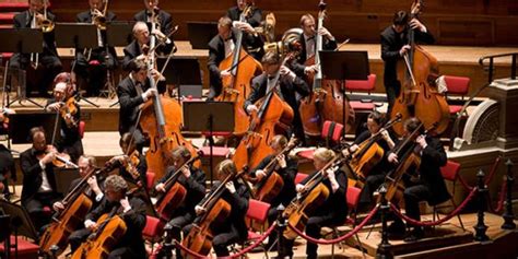 Audition Netherlands Philharmonic Orchestra — Co Principal Double Bass Position