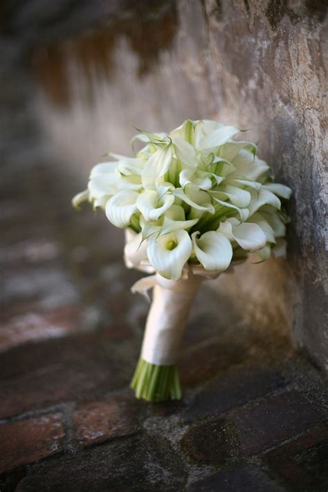 bridal bouquet white calla lilies photo florist