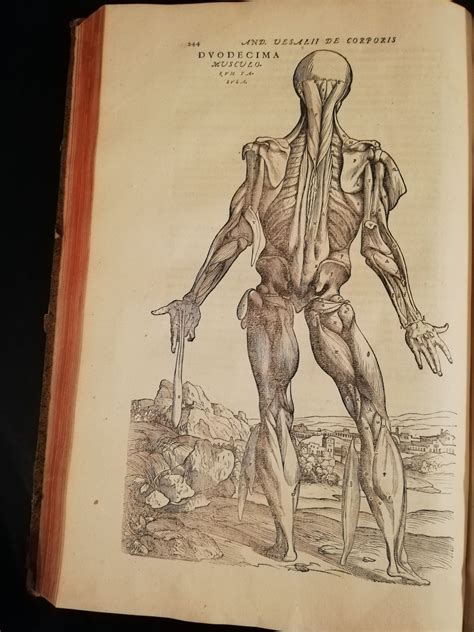 De Humani Corporis Fabrica Libri Septem By Andreas Vesalius Hardcover