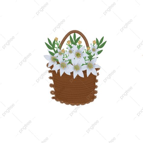 Flower Basket Hd Transparent White Flowers In A Basket Spring White