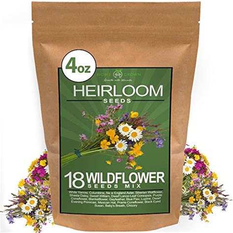 Top 10 Wildflowers Seeds Bulk Home And Kitchen Features Elbacipse