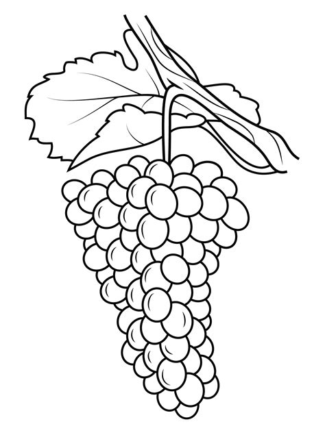 Grapes Coloring Pages Best Coloring Pages For Kids