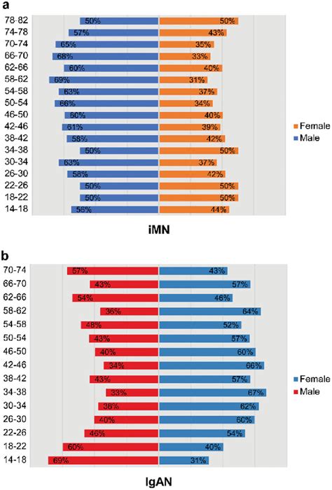 Variations In The Sex Ratio According To Age For IMN A And IgAN B