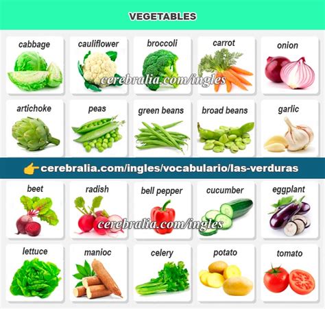 🥇【 Vocabulario De Las Verduras En InglÉs 】 ️