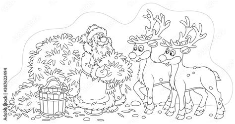 santa claus feeding reindeer with tasty hay before his magic journey around the world in the