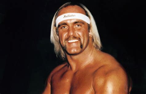 Hulk Hogan La Biographie Par Nanarland