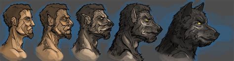 Werewolf Transformation By Andy On Deviantart