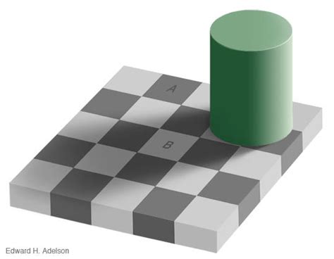 Optical Illusion Checkerboard Judging Brightness Of Tones Bob