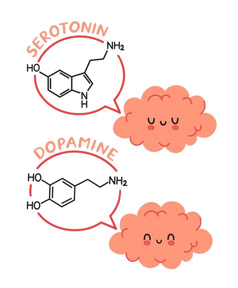 How To Increase Serotonin And Dopamine Naturally Healthier Steps