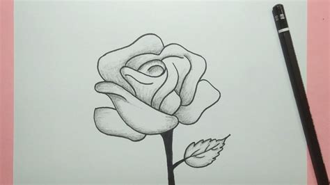 Cara Menggambar Bunga Mawar Yang Mudah