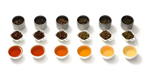 What Are The Most Popular Types Of Tea Green Black Oolong White And Chai