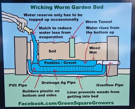 How do wicking bed gardens work? 17 Best images about Worm beds on Pinterest | Pvc pipes ...