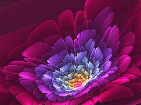 Flower Hd Wallpaper For Pc Dahlia Flower Hd Wallpapers We Have A