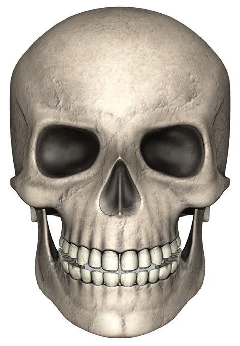 Terbit tiap update sel, min. Half skull download free clip art with a transparent background on Men Cliparts 2020