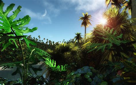 HD Jungle Desktop Backgrounds | PixelsTalk.Net