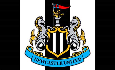 Get the newcastle united sports stories that matter. Rising young Newcastle United midfielder makes it 10 goals ...