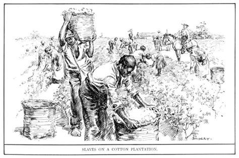 Slaves Working On Plantations Clipart