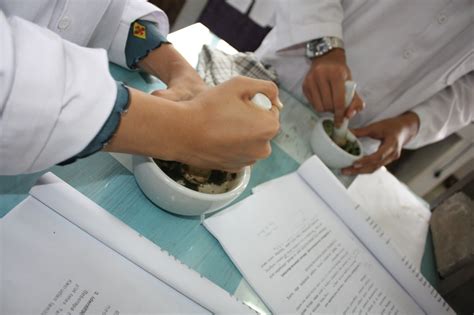 To achieve the highest possible quality of translation, make sure that the text is grammatically correct. Tumbuhan Obat dan Sains: BANGLE OBAT SAKIT KEPALA ...