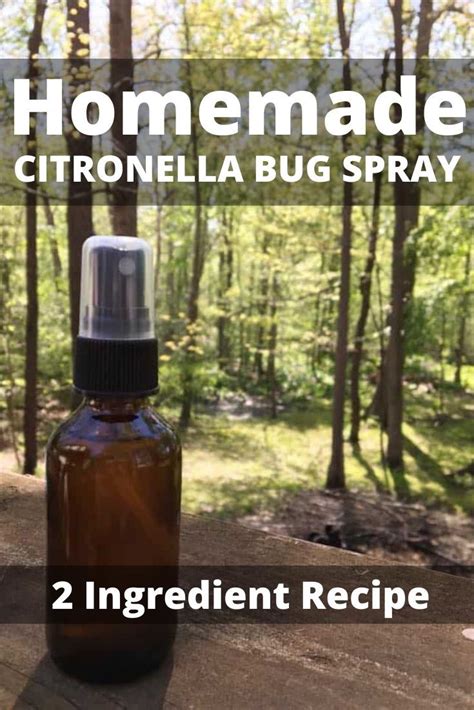 Citronella Bug Spray Recipe Saving Dollars And Sense In 2020 Diy Bug