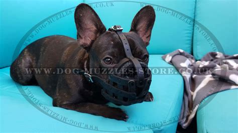 French bulldog basket muzzle is the uk bestseller. Best French Bulldog Muzzle UK | French Bulldog Soft Muzzle ...