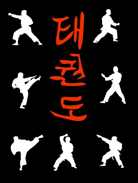 Das Traditionelle Taekwondo T Shirt Ist Das Perfekte Tkd Design Für Den Taekwondoin Ein Tolles