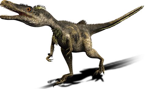Velociraptor Dinosaur Wiki Fandom Powered By Wikia