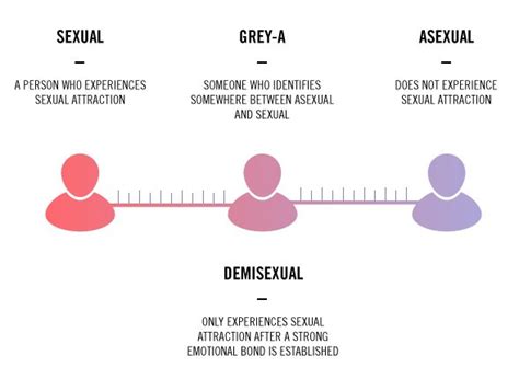 What Is Asexuality Here’s Everything You Should Know About It