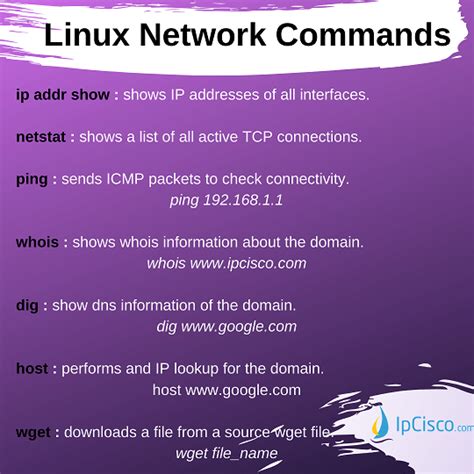 Top 35 Network Commands In Linux Arp Route Ip Netstat