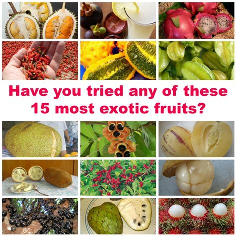 Have You Tried Any Of These 15 Most Exotic Fruits The Food Explorer